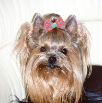 Abigail S. Golightly